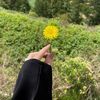 hadeel__119