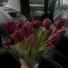 sa_6.x