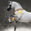 fahad33317
