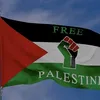 free.palestine23352