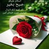 shiza.shoukat
