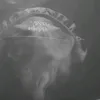 vt__theuzinx_