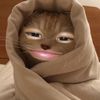user110445504