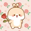 quc.ann04
