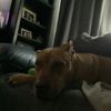 jaxhollis5