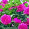 user8857017294612