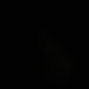 amandakatherine737