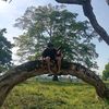 josue_hptts