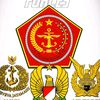 amir.5655