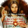estrellanarvezros