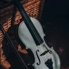 minh.violinist