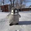 nour_almadani4