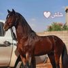 user5035422170775