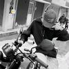 raton_531