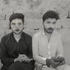 syed.saqi.abbas6