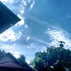 _laba_laba_230