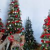 ♥️ Holiday Christmas 🏭🏕️