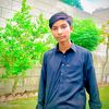 harisali8626