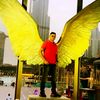 dubaibdnk