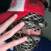 mohammadnajib217gmail.c8