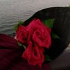 user9019886597226