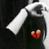 dnoo972