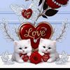 user46605736502187