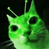 alien_cat722