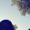 hi_ini_mey122