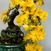 Diệp Vấn bến tre