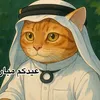 zaid.toris155