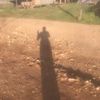 namfon2025848vudgjjbg