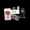 _ichaa008