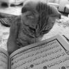insya Allah surga