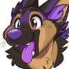 savvygsd