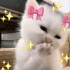 syed_zadi__015