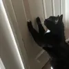 ndoustie