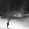 fikar_183