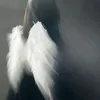 before_he_died