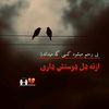 user5120820660022