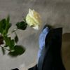 amina.ben8476