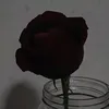 kyh_007