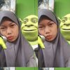 ilmotz