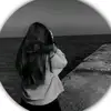 d.zn8