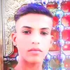 user4401694295425