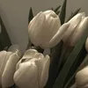 dilaicious