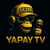 Yapay Tv