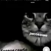user8678701274006