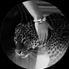 dina88775