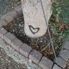 damla.koca04